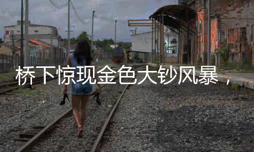 桥下惊现金色大钞风暴，揭开背后的神秘面纱