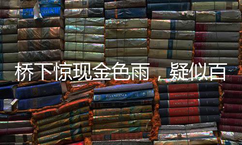 桥下惊现金色雨，疑似百元大钞满天飞舞，知情者首度发声揭秘