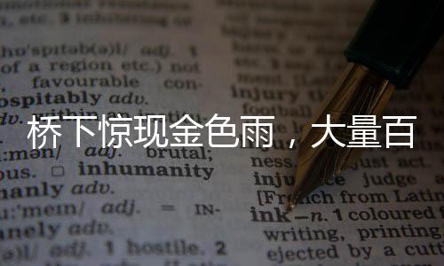 桥下惊现金色雨，大量百元大钞散落一地，背后隐藏着哪些故事？