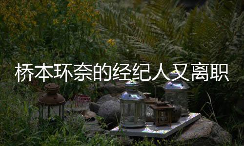 桥本环奈的经纪人又离职了！这已经是第九位
