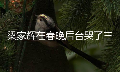 梁家辉在春晚后台哭了三次，感人至深的背后故事