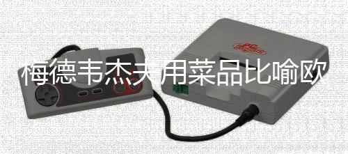 梅德韦杰夫用菜品比喻欧盟和英法乌，一场餐桌上的政治对话