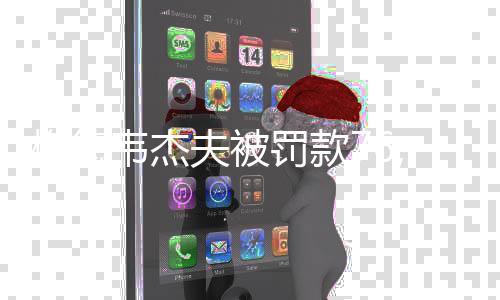 梅德韦杰夫被罚款76,000美元，引发关注与思考