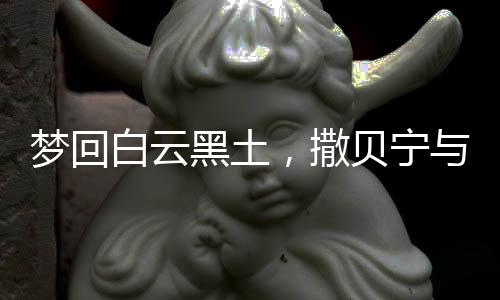 梦回白云黑土，撒贝宁与机器人的奇妙相遇