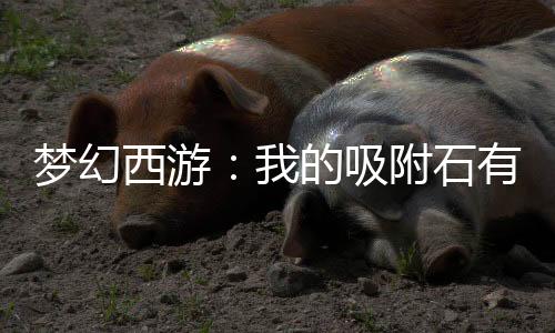 梦幻西游：我的吸附石有亿点强