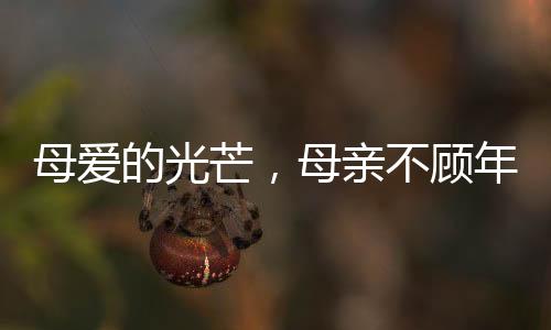 母爱的光芒，母亲不顾年龄差异，勇敢捐肾救子患尿毒症的宝贝儿子