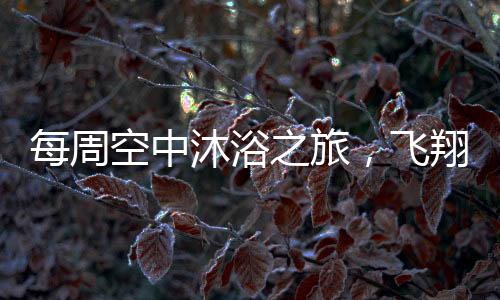 每周空中沐浴之旅，飞翔的洗护新风尚
