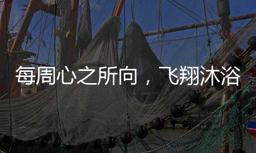 每周心之所向，飞翔沐浴——渴望飞行与追求身心净化的旅程