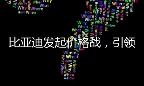比亚迪发起价格战，引领新一轮行业变革