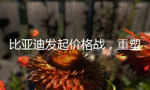 比亚迪发起价格战，重塑行业格局的新一轮挑战