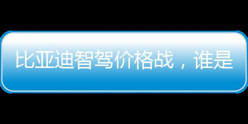 比亚迪智驾价格战，谁是真正的紧张者？