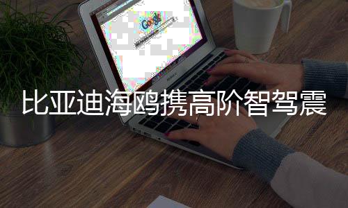 比亚迪海鸥携高阶智驾震撼登场，售价仅七万多