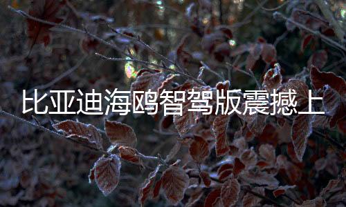 比亚迪海鸥智驾版震撼上市，售价7.88万起