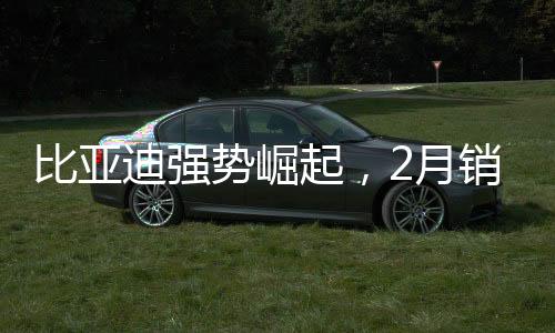 比亚迪强势崛起，2月销售突破32万辆大关