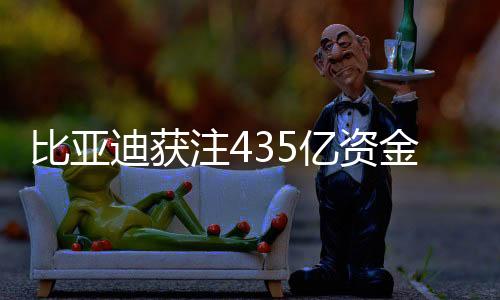 比亚迪获注435亿资金，加速发展补血新策略引领行业新风向