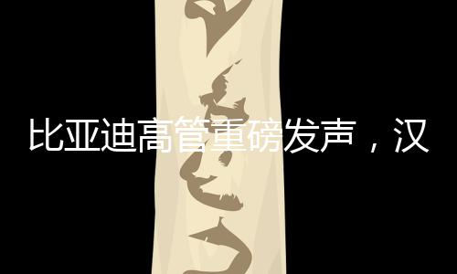 比亚迪高管重磅发声，汉L的崛起让燃油车仅余情怀价值