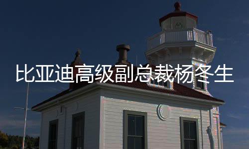 比亚迪高级副总裁杨冬生：“灵鸢”换电版主要搭载仰望品牌