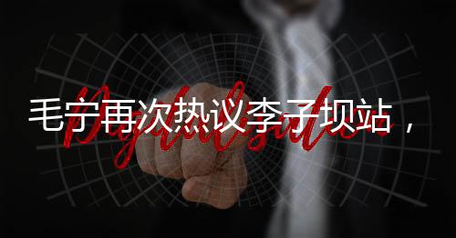 毛宁再次热议李子坝站，揭示城市新晋打卡点的魅力之源