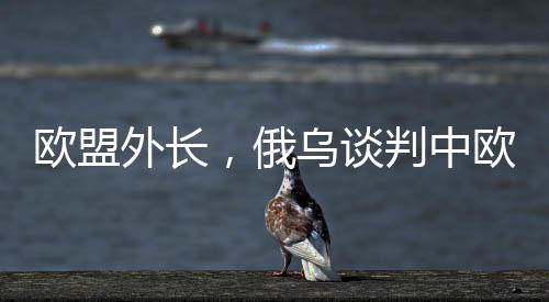 欧盟外长，俄乌谈判中欧洲必须上桌