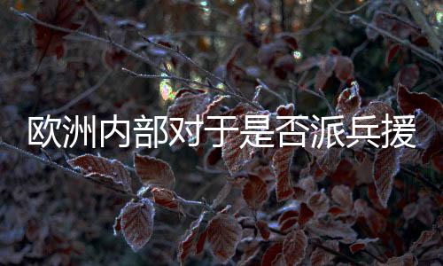 欧洲内部对于是否派兵援乌陷入纠结