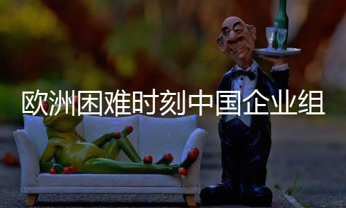 欧洲困难时刻中国企业组团亮相，彰显全球化视野与合作信心
