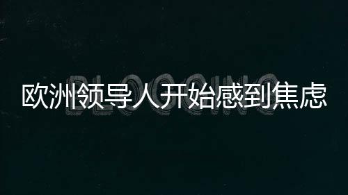 欧洲领导人开始感到焦虑，全球格局变迁下的挑战与应对