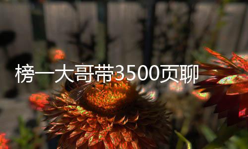榜一大哥带3500页聊天记录报案——揭秘网络背后的故事