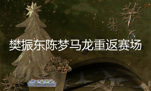 樊振东陈梦马龙重返赛场，国乒闪耀新征程
