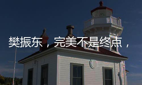 樊振东，完美不是终点，而是新起点