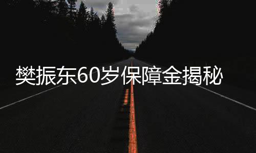 樊振东60岁保障金揭秘，月领六千并非梦想，揭秘其背后的多重保障