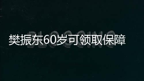 樊振东60岁可领取保障金，一位乒乓球巨星的未来保障