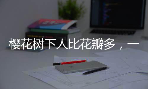 樱花树下人比花瓣多，一场盛大的春日盛宴