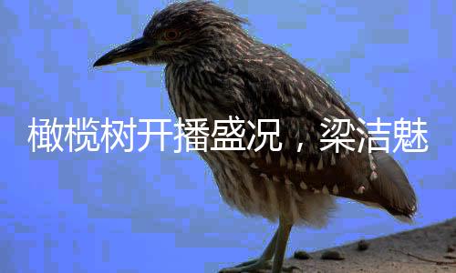 橄榄树开播盛况，梁洁魅力飙升引发关注热潮——短短三天涨粉四十余万