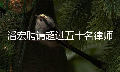 潘宏聘请超过五十名律师，探究背后的故事