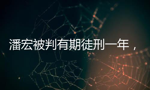 潘宏被判有期徒刑一年，细节揭示与法律解读