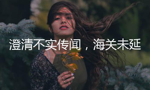 澄清不实传闻，海关未延迟进口煤炭检查