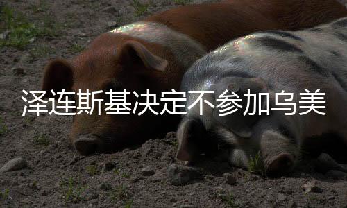 泽连斯基决定不参加乌美会谈，乌克兰外交策略出现新动向