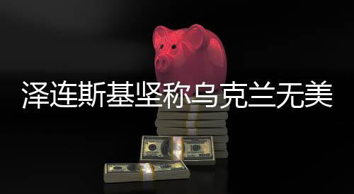 泽连斯基坚称乌克兰无美国难以获胜，国际视角下的战略考量