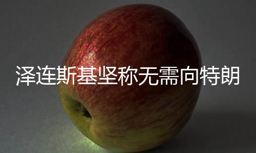泽连斯基坚称无需向特朗普道歉，俄乌对话与外交策略探析