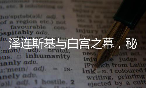 泽连斯基与白宫之幕，秘密时刻中的转折之旅系列之一——被提前离场的要求引发众议