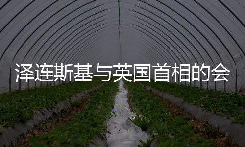泽连斯基与英国首相的会晤，推动双边关系深化发展的重要一步