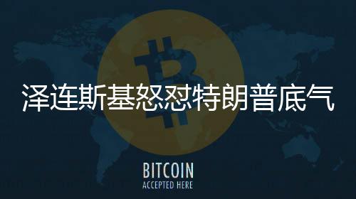 泽连斯基怒怼特朗普底气何来？乌克兰领袖背后的大义与立场力量分析
