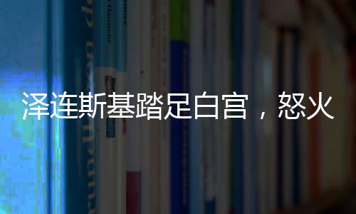泽连斯基踏足白宫，怒火压制下的微妙会谈