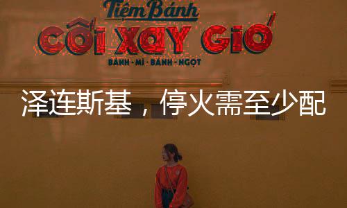 泽连斯基，停火需至少配备二十万维和人员——俄乌局势分析