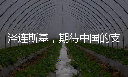 泽连斯基，期待中国的支持与帮助