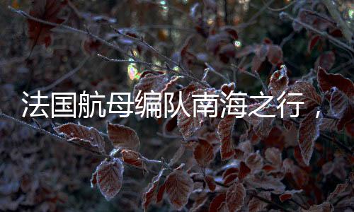 法国航母编队南海之行，军事展示还是地区安全关切？