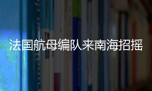 法国航母编队来南海招摇过市，引起国际关注——一国海军力量展现实力与决心？背景探析与多方反应