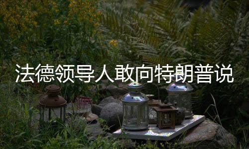 法德领导人敢向特朗普说不吗？