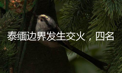 泰缅边界发生交火，四名毒贩毙命