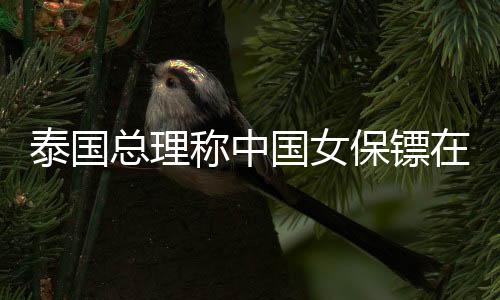 泰国总理称中国女保镖在泰国也火了，跨文化的魅力与安保合作的新篇章